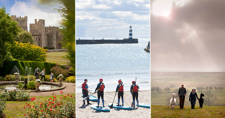 Raby Castle, Seaham Marina and Teesdale Alpacas